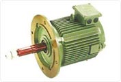 Cooling Tower Motors – Standard & Flameproof