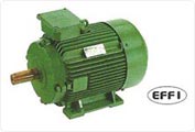 Energy Efficient Tefc Motors