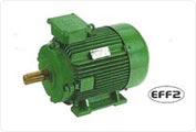 High Efficiency Standard Motors