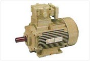 High Tefc Flamepoof Motors For