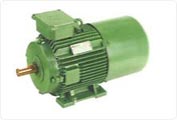 Inverter Duty Motrs