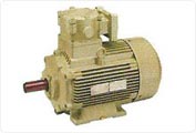 Multi Speed Flameproof Motors For