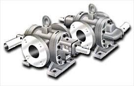 Rotary Gear Pump type RDRN